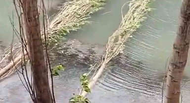 Şiddetli fırtına hayatı felç etti