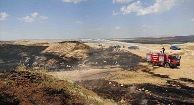 Siirt'te çıkan yangında ekili alanlar zarar gördü