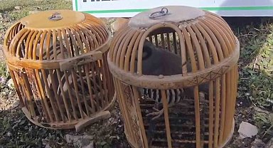 Siirt'te keklik avlayan kişiye 63 bin lira ceza kesildi