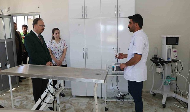 Siirt'te sahipsiz hayvanlar bu merkezde güvenli şekilde yaşamlarını sürdürüyor