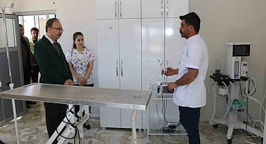 Siirt'te sahipsiz hayvanlar bu merkezde güvenli şekilde yaşamlarını sürdürüyor