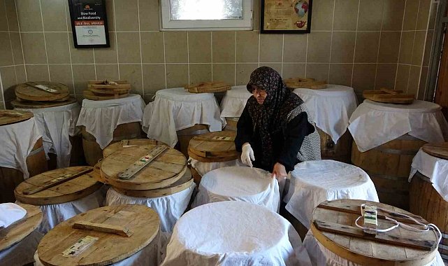 Şile'de 50 çeşit şifa: Dededen kalma tariflerle sirke yapıyor