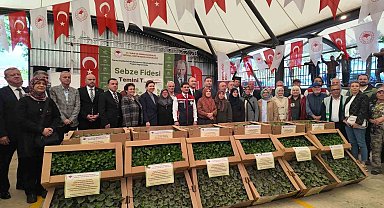 Silivri'de üreticiye 614 bin fide ve 4 ton tohum desteği