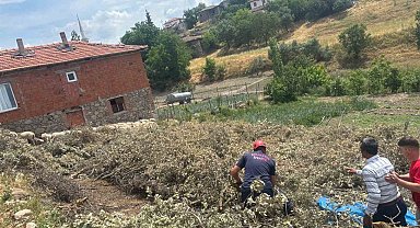 Sındırgı'da koyun damı çöktü, 2 koyun telef oldu