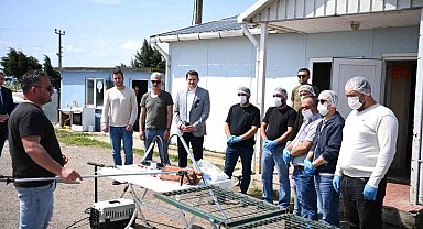 Sinop'ta sahipsiz hayvanların toplanmasına yönelik eğitim