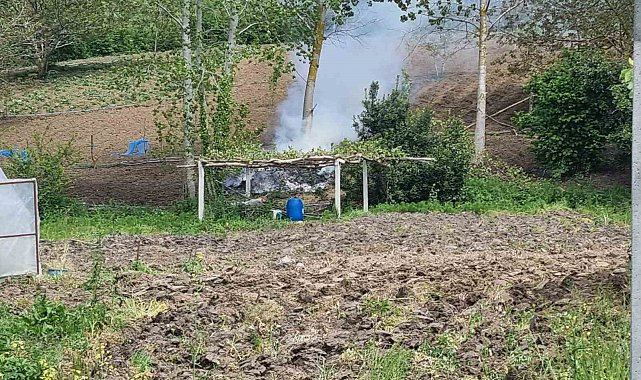 Sinop'ta tarlada yangın paniği