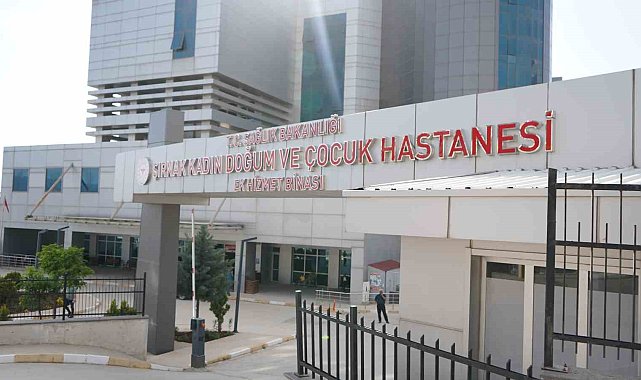 Şırnak'ın ebeleri anneliği anlattı