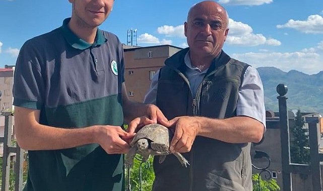 Şırnak'ta yaralı yaban hayvanları koruma altına alındı