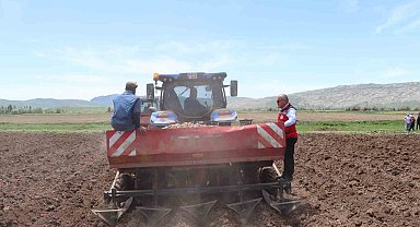 Sivas'ta tohumluk patatesler toprakla buluştu