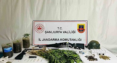 Siverek'te uyuşturucu operasyonu: 42 gözaltı