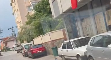 Sokak ortasında gezen tavus kuşu sürücülere ilginç anlar yaşattı