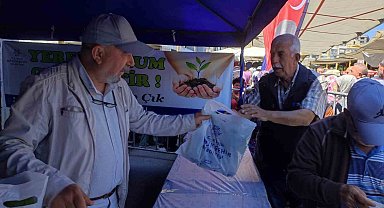 Söke'de 40 bin ata tohumu fidesi dağıtıldı