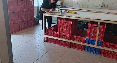 Söke'de riske dayalı gıda işletmeleri denetlendi