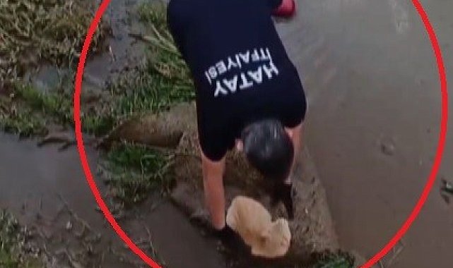 Su kanalında mahsur kalan kedinin yardımına itfaiye ekipleri koştu