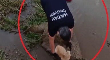 Su kanalında mahsur kalan kedinin yardımına itfaiye ekipleri koştu