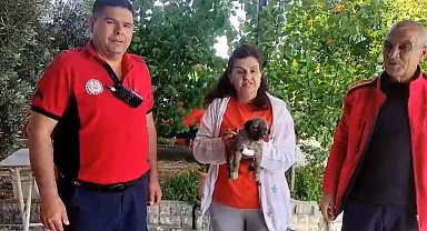 Su kenarında mahsur kalan köpeği itfaiye kurtardı