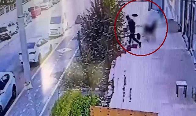 Suç örgütüne yönelik Diyarbakır merkezli düzenlenen operasyonda 19 şüpheli tutuklandı