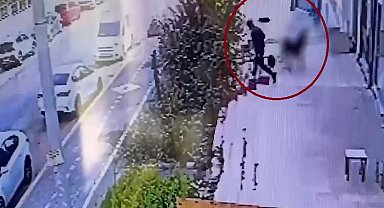 Suç örgütüne yönelik Diyarbakır merkezli düzenlenen operasyonda 19 şüpheli tutuklandı