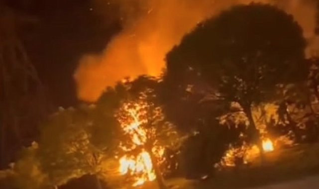 Sultangazi'de ormanlık alanda korkutan yangın