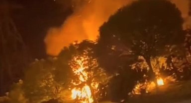 Sultangazi'de ormanlık alanda korkutan yangın