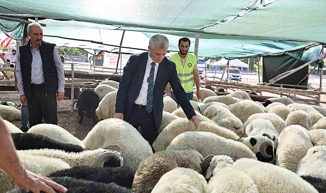 Tahmazoğlu kurban fiyatlarını açıkladı