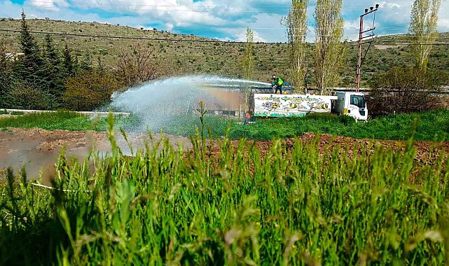 Talas'ta sinek ve haşerata erken önlem