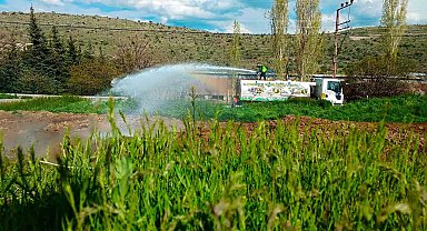 Talas'ta sinek ve haşerata erken önlem