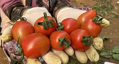 Tarım Antalya'yı ihracatta sırtladı: Yaş meyve sebzede yüzde 17,7 artış