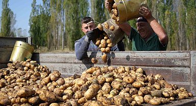 Tarım-GFE yıllık yüzde 29,73 arttı