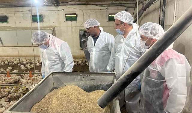 Tarım Müdürü Koçaker, etlik piliç üretimi yapılan tesislerde incelemede bulundu