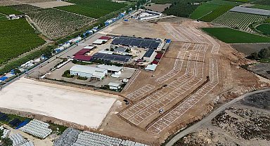 Tarsus'ta kurbanlık hayvan satışları tek alanda yapılacak