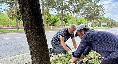 Taşköprü, 70 bin kadife çiçeğiyle renkleniyor