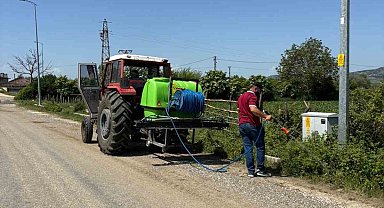 Taşköprü Belediyesi'nin haşereyle mücadele çalışmaları başladı