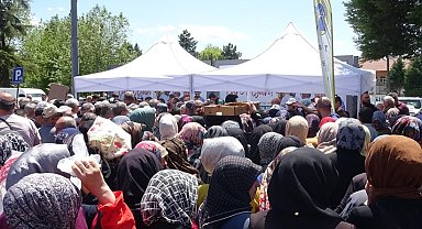 Tavşanlı'da fide dağıtımı izdihama sebep oldu