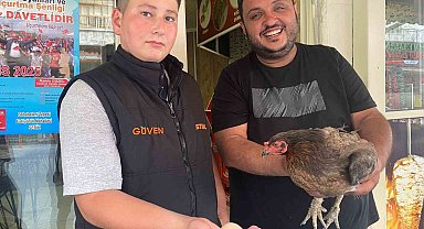 Tavuğun cesareti dönerciyi şaşkına çevirdi: Yumurtlamak için tavuk dönerciyi seçti