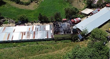 Tavuk çiftliğinde yangın: Binlerce hayvan telef olmaktan son anda kurtarıldı