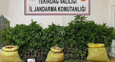 Tekirdağ'da jandarmadan uyuşturucu operasyonları: Çok sayıda madde ele geçirildi