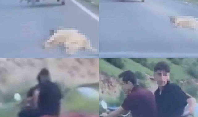 Telef olan köpeği sürükleyen şahsa 50 bin TL ceza