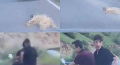 Telef olan köpeği sürükleyen şahsa 50 bin TL ceza