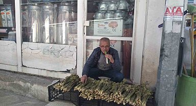 Tercan'da 'yayla muzunun' destesi 50 ila 80 TL'den satışta
