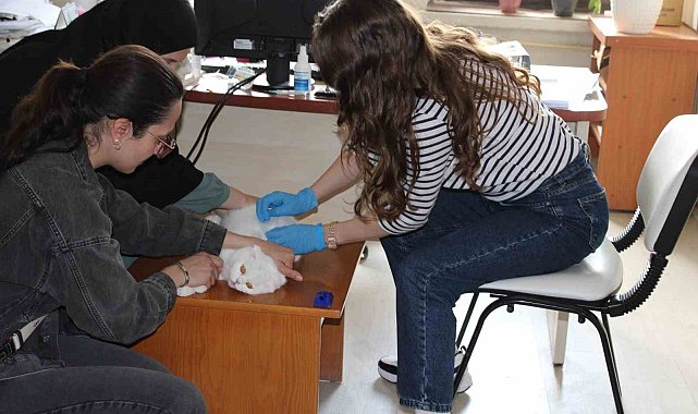 Tercan'da mikroçip çalışmaları devam ediyor