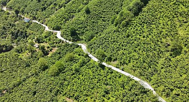 Terme'de beton yol çalışması