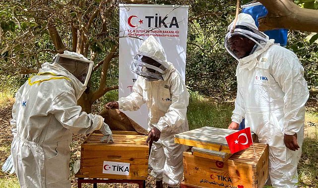 TİKA'dan Sudan'da arıcılığa destek