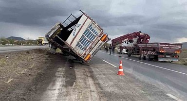 Tır devrildi, anguslar kayboldu