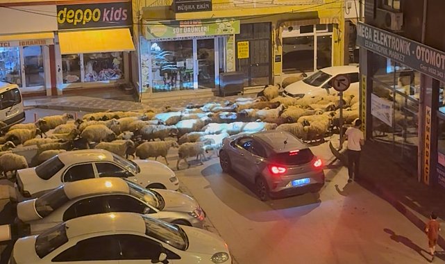 Tokat'ta gece başlayan yayla göçü dronla görüntülendi