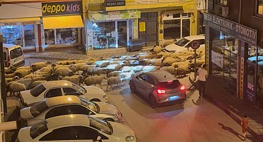 Tokat'ta gece başlayan yayla göçü dronla görüntülendi