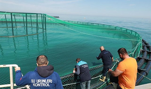 Trabzon'da denizdeki balık kafeslerine denetim