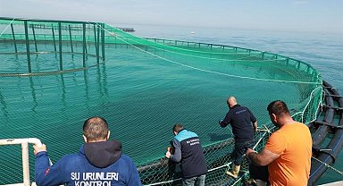 Trabzon'da denizdeki balık kafeslerine denetim