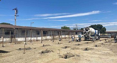 Turgutlu Belediyesinden sahipsiz can dostların yaşam şartlarını iyileştirecek çalışma