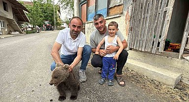 Türkeli'de annesiz bulunan yavru ayı kurtarıldı